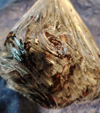 তেঁতুল- 500g indian